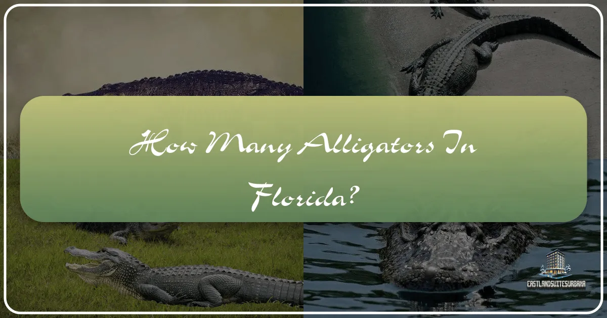 How Many Alligators In Florida?