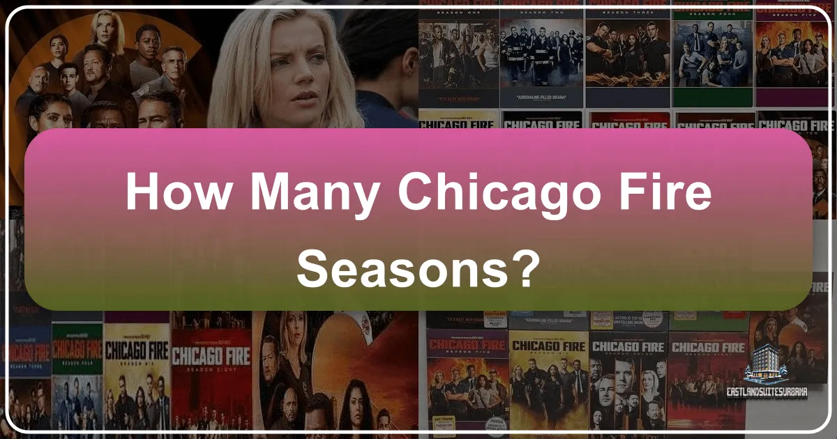 how many chicago fire seasons