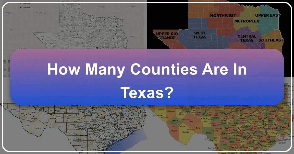 How Many Counties Are in Texas?
