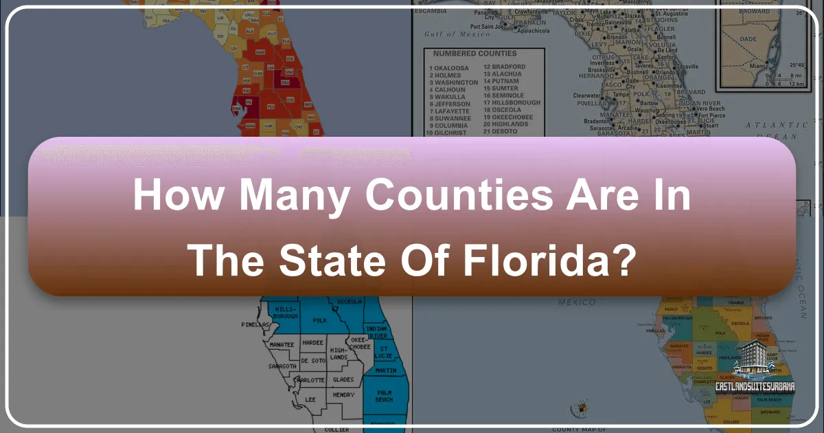 How Many Counties Are In The State Of Florida?