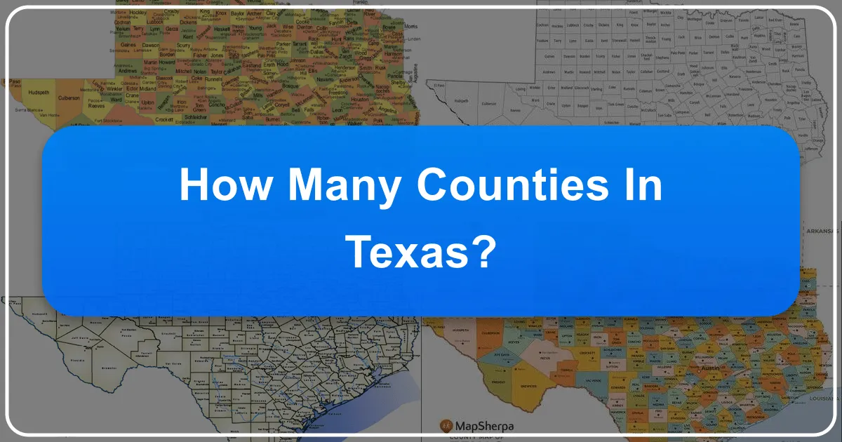 How Many Counties in Texas: An Unveiling of the Lone Star State's Vastness