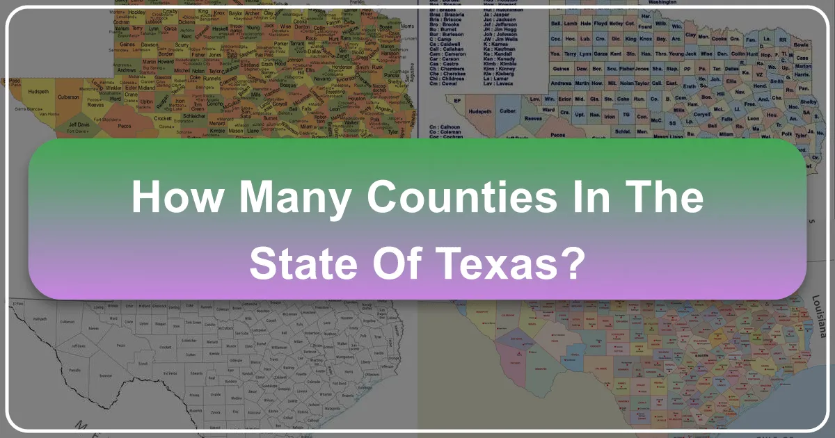 How Many Counties in the State of Texas: A Journey Through Its Vast Divisions