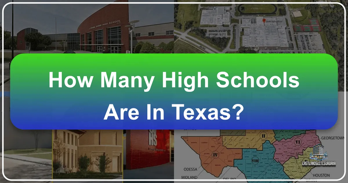 How Many High Schools Are In Texas?