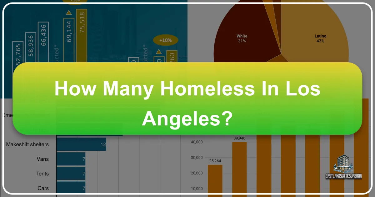 How Many Homeless in Los Angeles? Understanding the City's Social Landscape for Responsible Travel