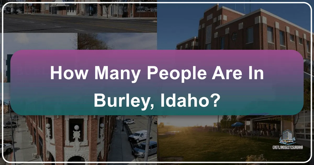 How Many People Are In Burley, Idaho?