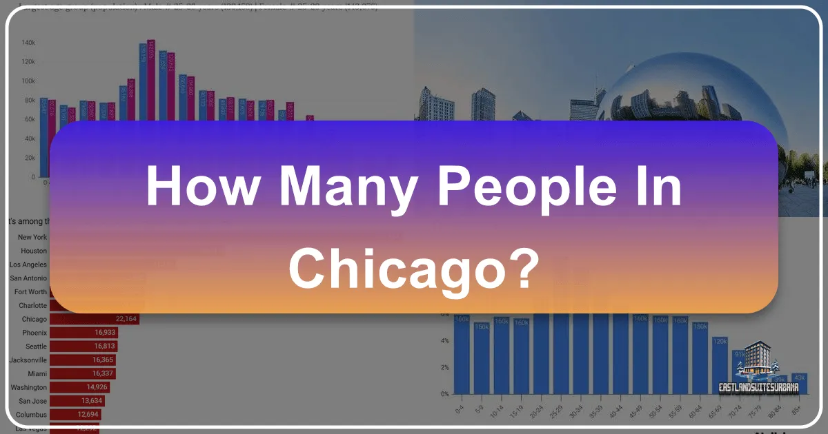 How Many People In Chicago?