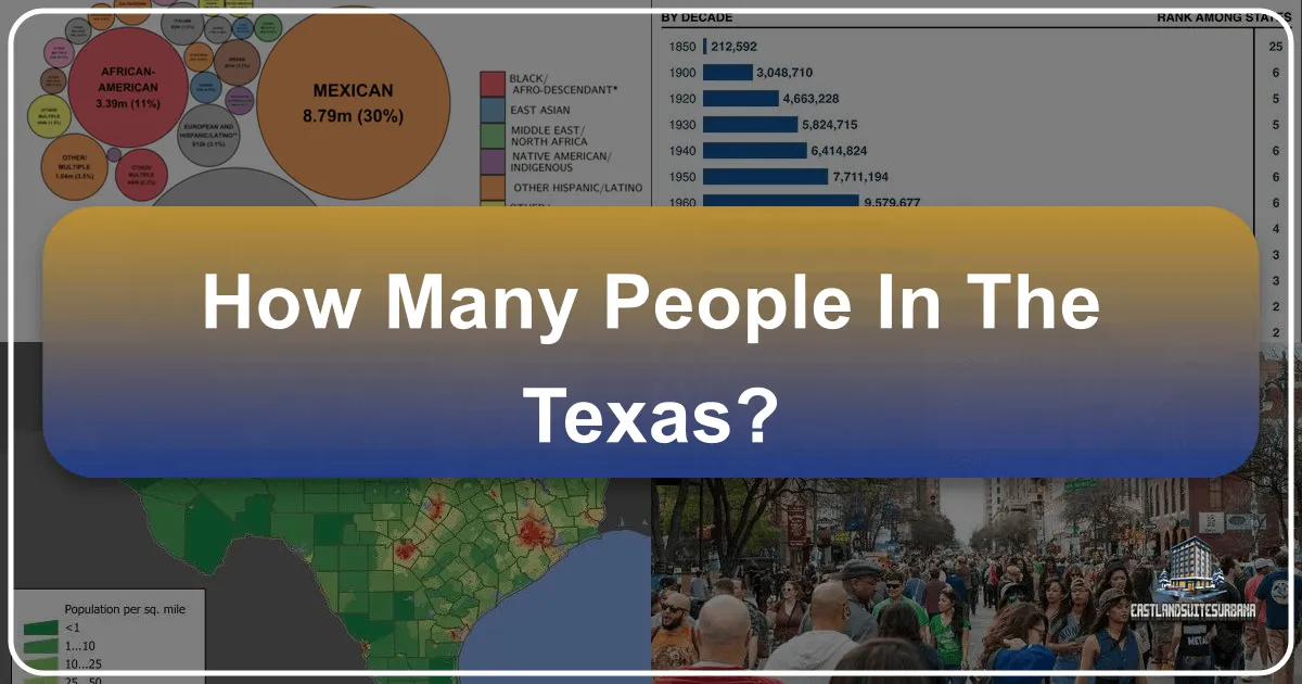 Texas Population: A Traveler's Guide to the Lone Star State