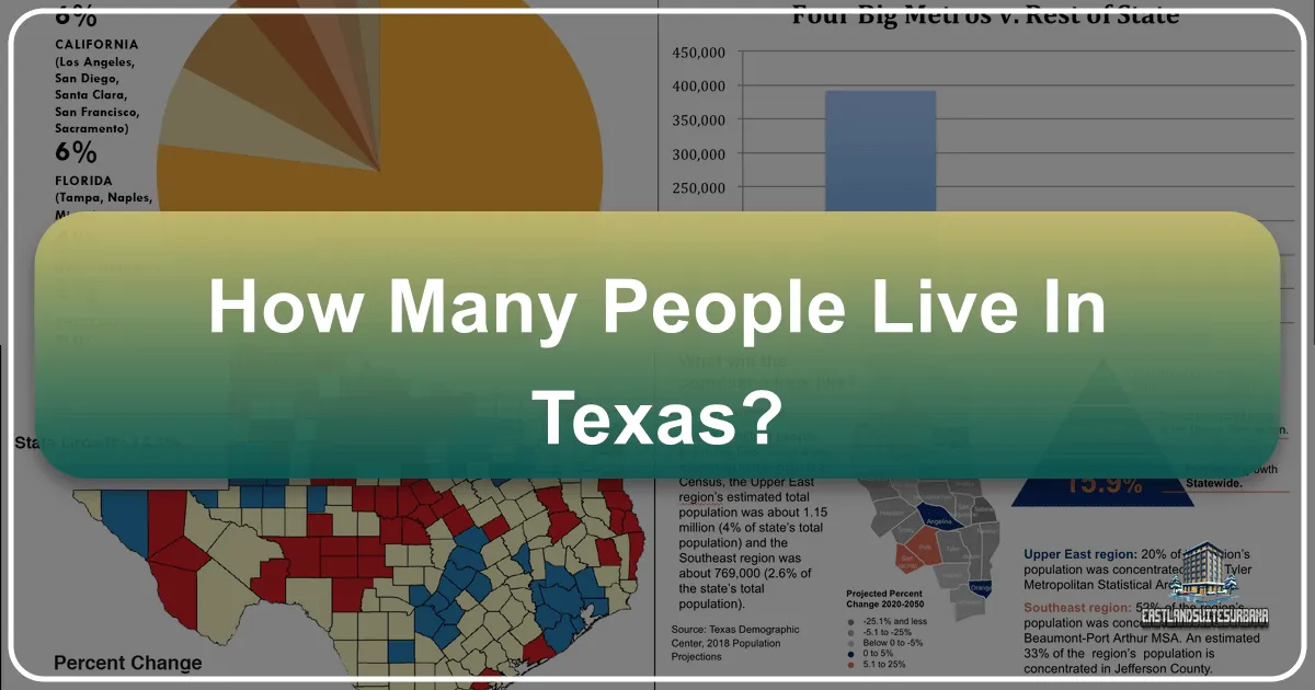 how many people live in texas