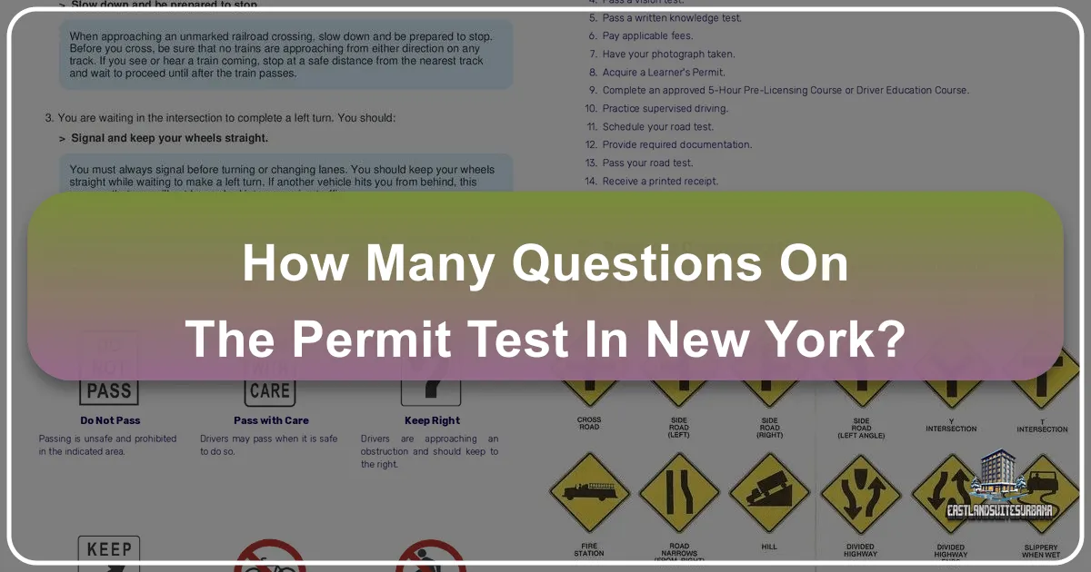 How Many Questions On The Permit Test In New York?