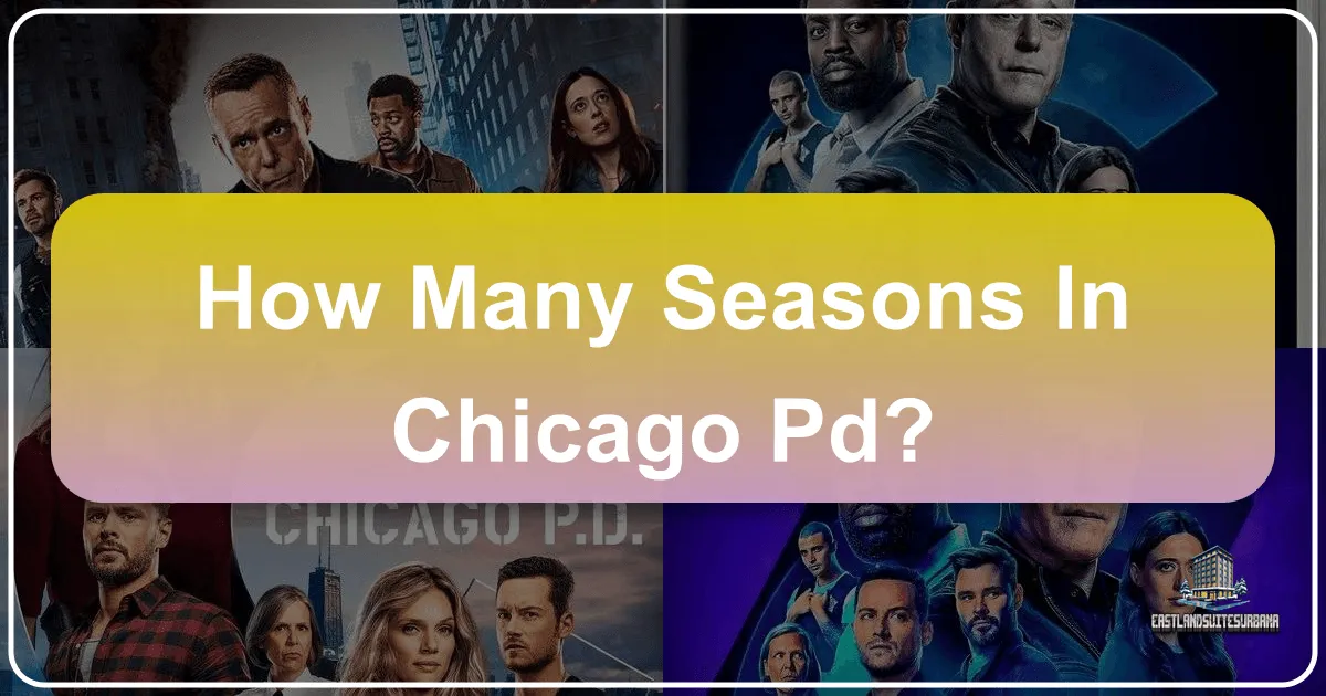 How Many Seasons In Chicago Pd?