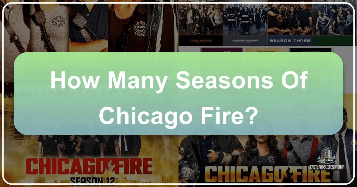 How Many Seasons of Chicago Fire? Exploring the Enduring Legacy and Its Impact on a World-Class City