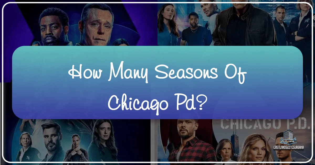 How Many Seasons Of Chicago Pd?