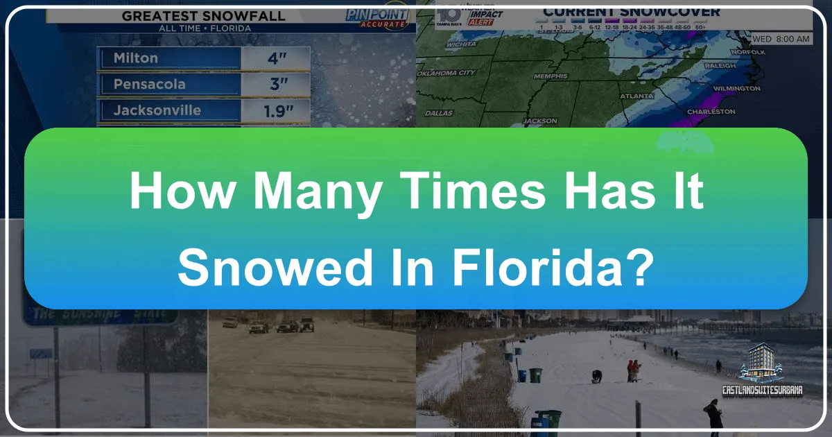 How Many Times Has It Snowed In Florida?