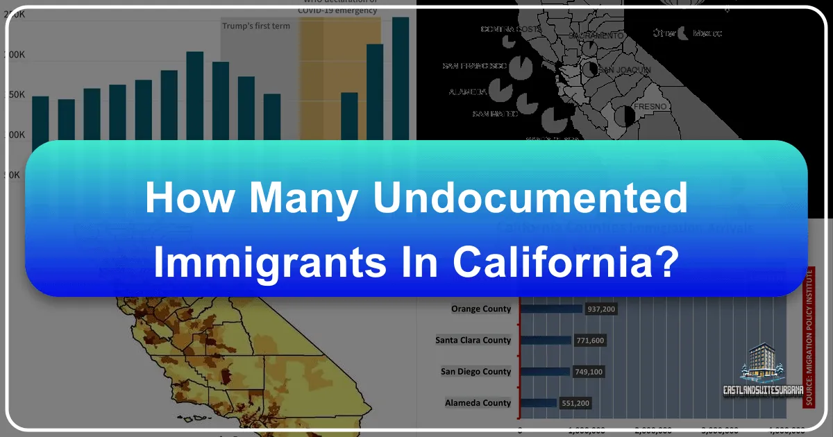 How Many Undocumented Immigrants In California?
