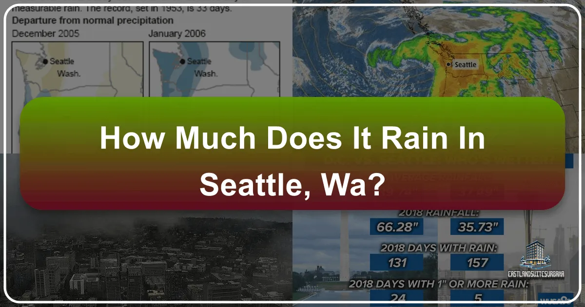 How Much Does It Rain In Seattle, Wa?