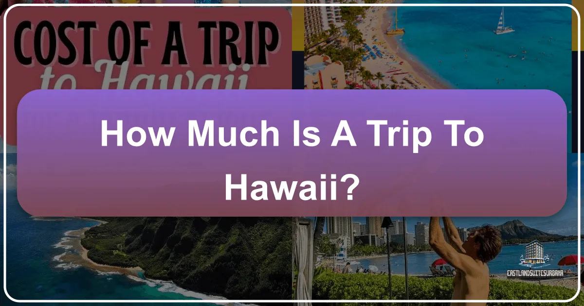 How Much is a Trip to Hawaii?