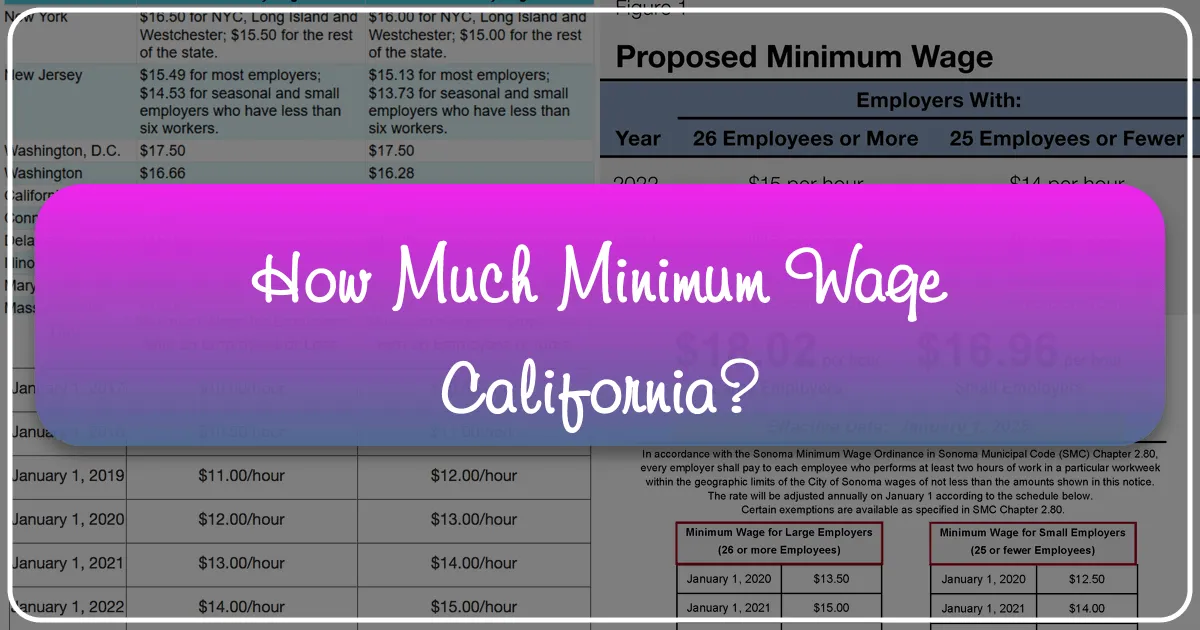 Decoding California's Minimum Wage: What Travelers and Residents Need to Know About the Golden State's Economy