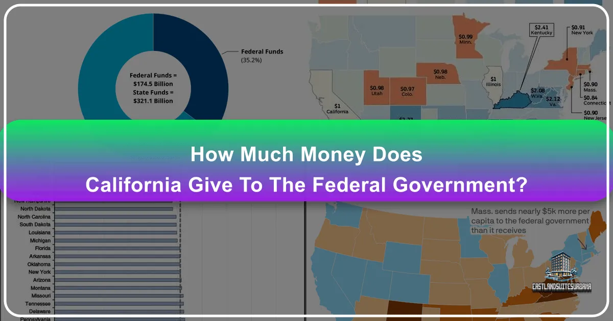 How Much Money Does California Give To The Federal Government?