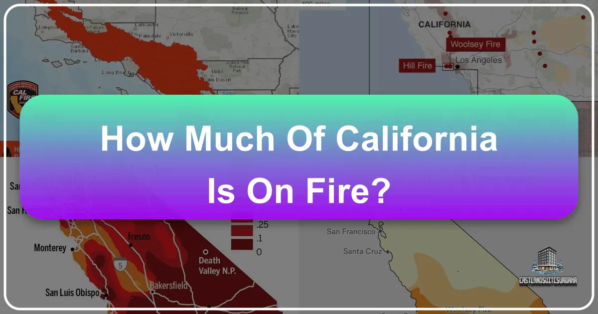 How Much Of California Is On Fire?