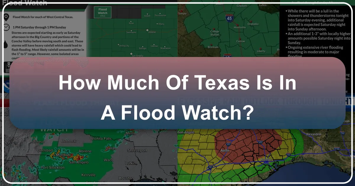 How Much of Texas Is in a Flood Watch?