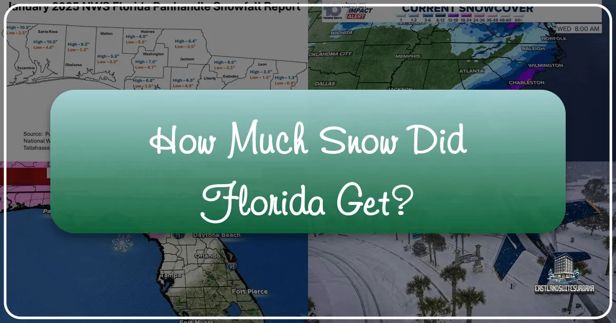 How Much Snow Did Florida Get?