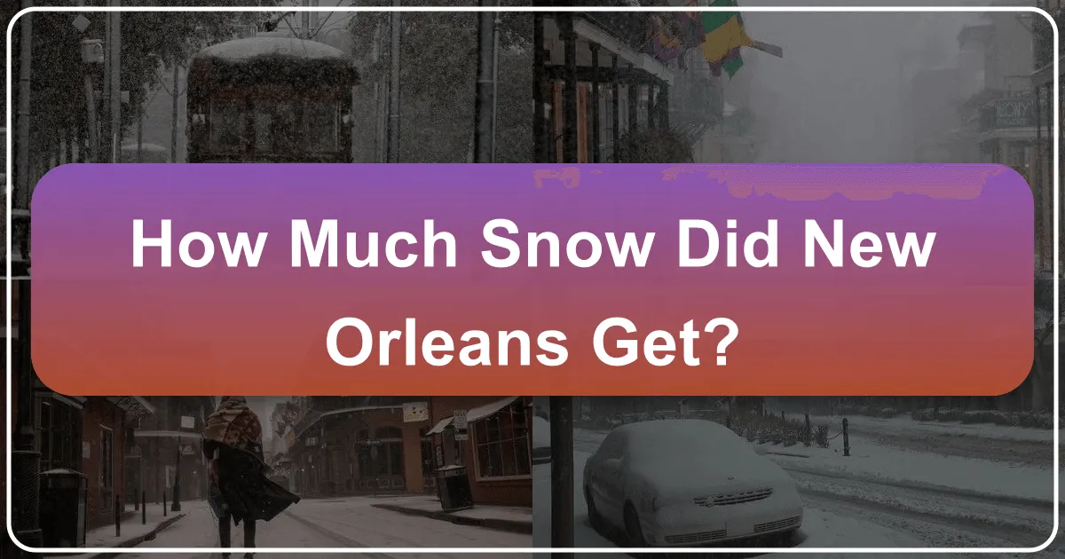 How Much Snow Did New Orleans Get? Unraveling a Rare Phenomenon in the Crescent City