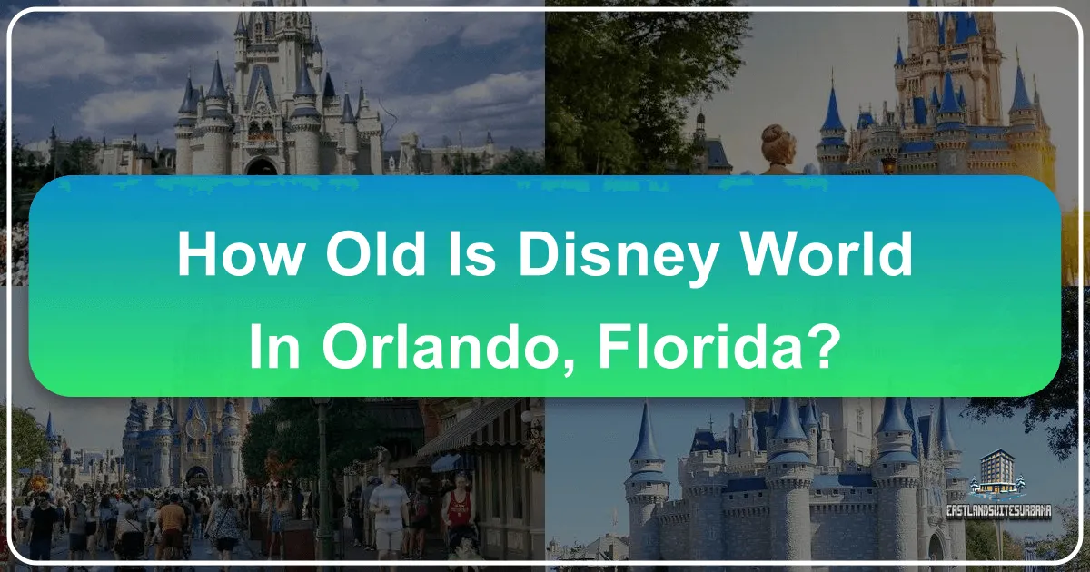 How Old Is Disney World in Orlando, Florida?
