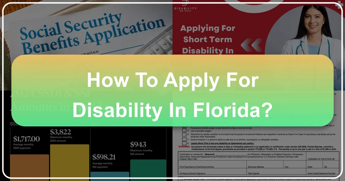 Navigating Florida's Charms: Enhancing Your Travel and Stay with Accessibility in Mind