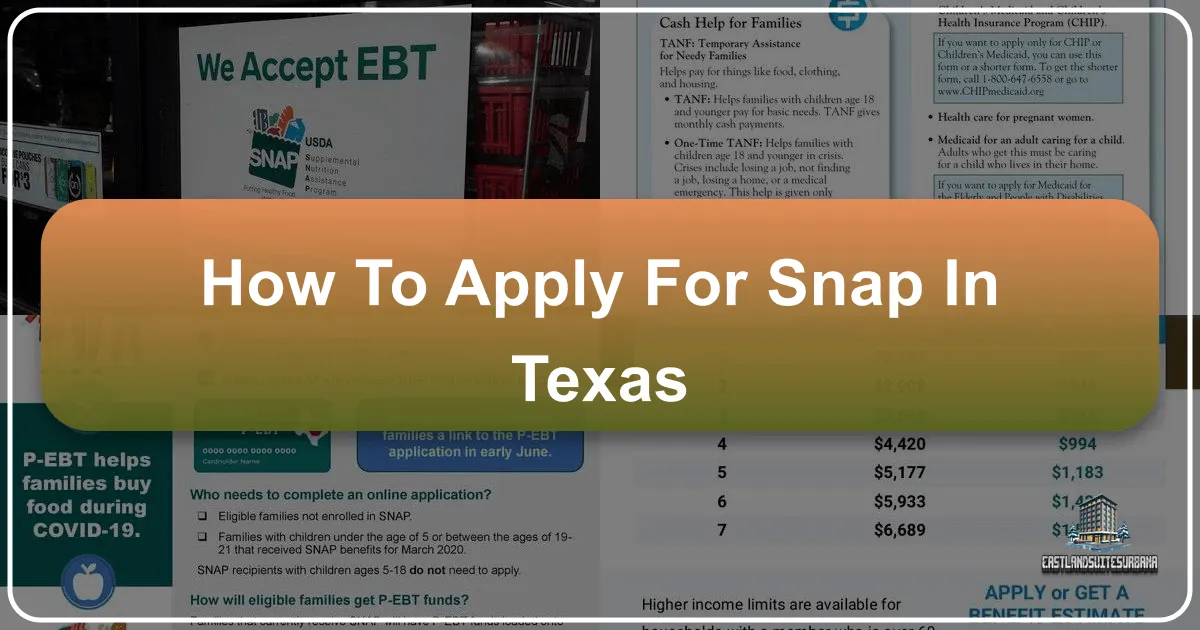 How to Apply for SNAP in Texas