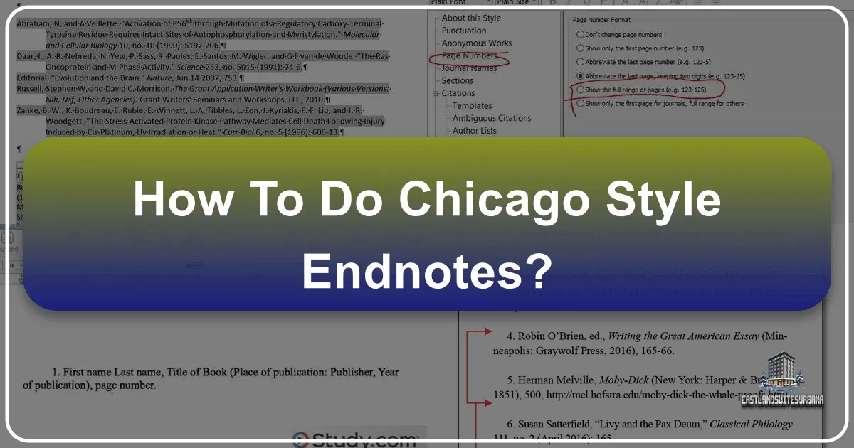 How To Do Chicago Style Endnotes?