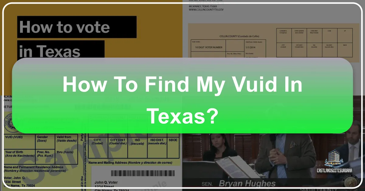 How to Find My VUID Texas: Navigating Vehicle Compliance for Your Lone Star State Adventures