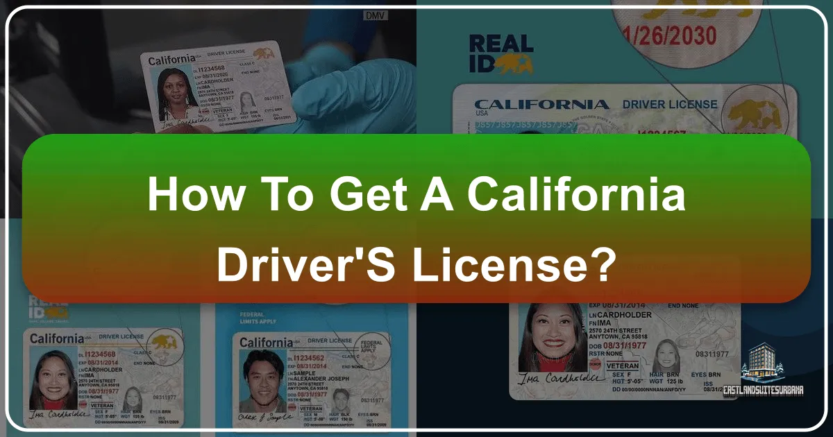 How To Get A California Driver's License?