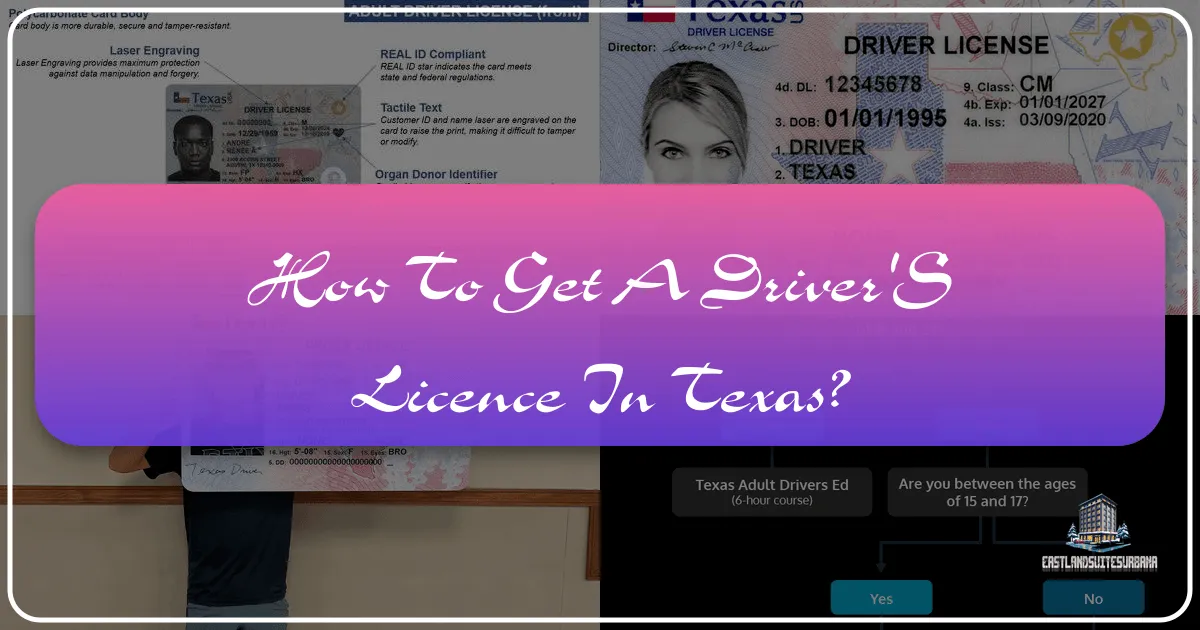 How To Get A Driver'S Licence In Texas?