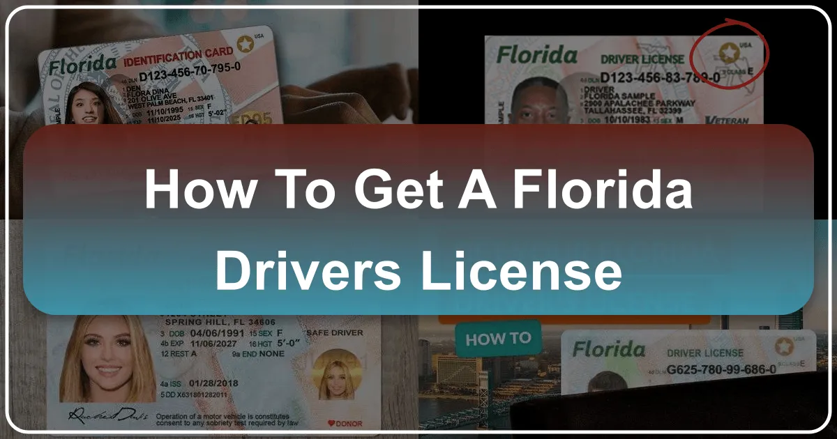How to Get a Florida Driver's License: Your Essential Guide to Navigating the Sunshine State