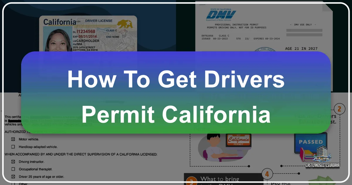 How To Get Drivers Permit California