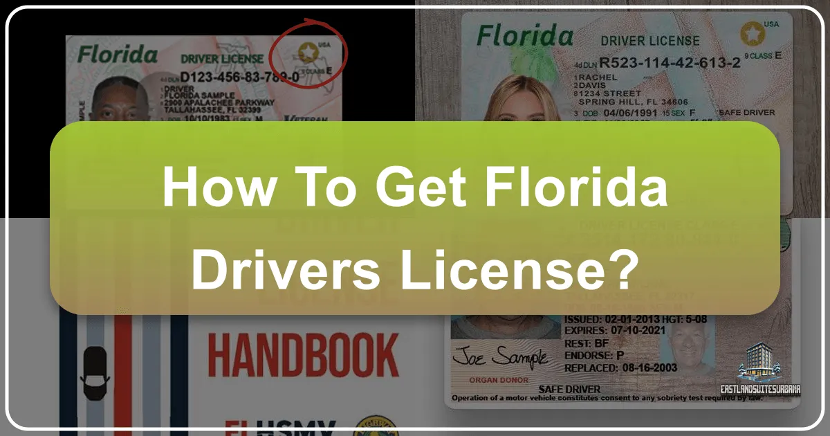 How To Get Florida Drivers License?