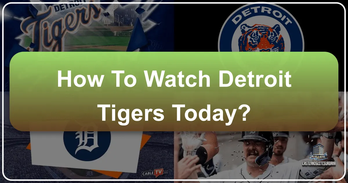 How To Watch Detroit Tigers Today?