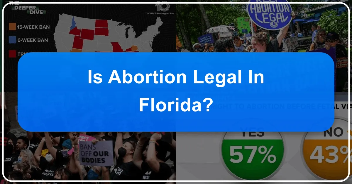 Unveiling Florida: A Traveler's Guide to Sunshine State Laws, Lifestyle, and Essential Insights