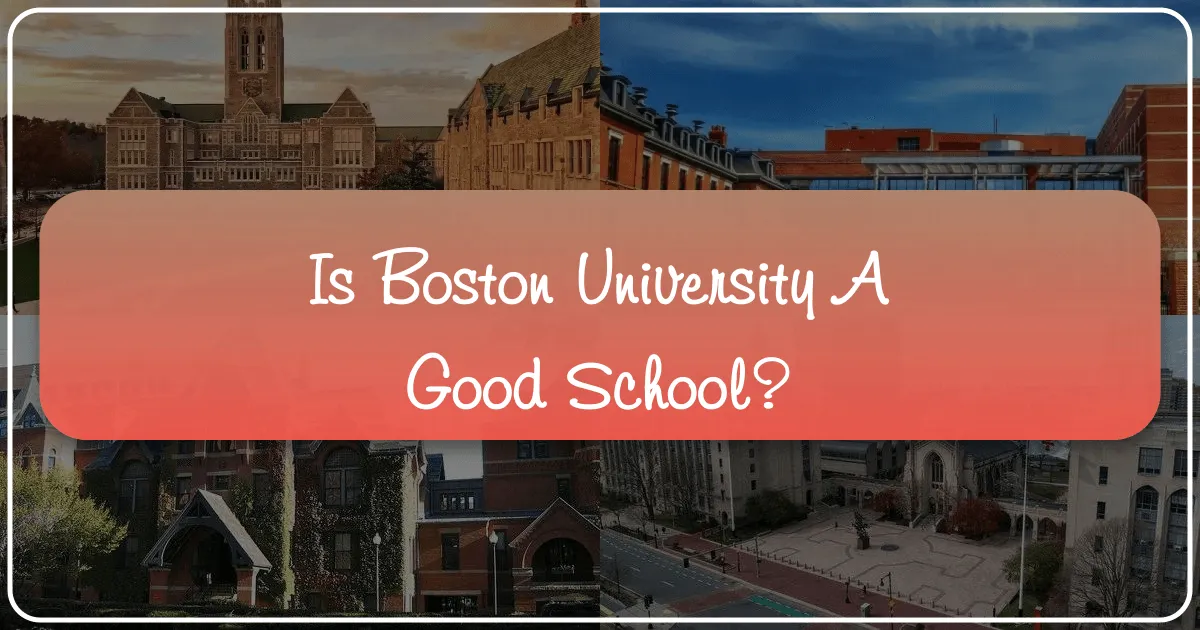is boston university a good school