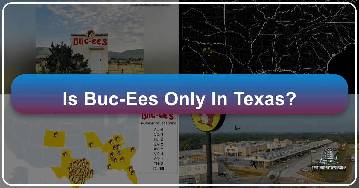 Beyond the Lone Star State: Exploring the Expansive World of Buc-ee's