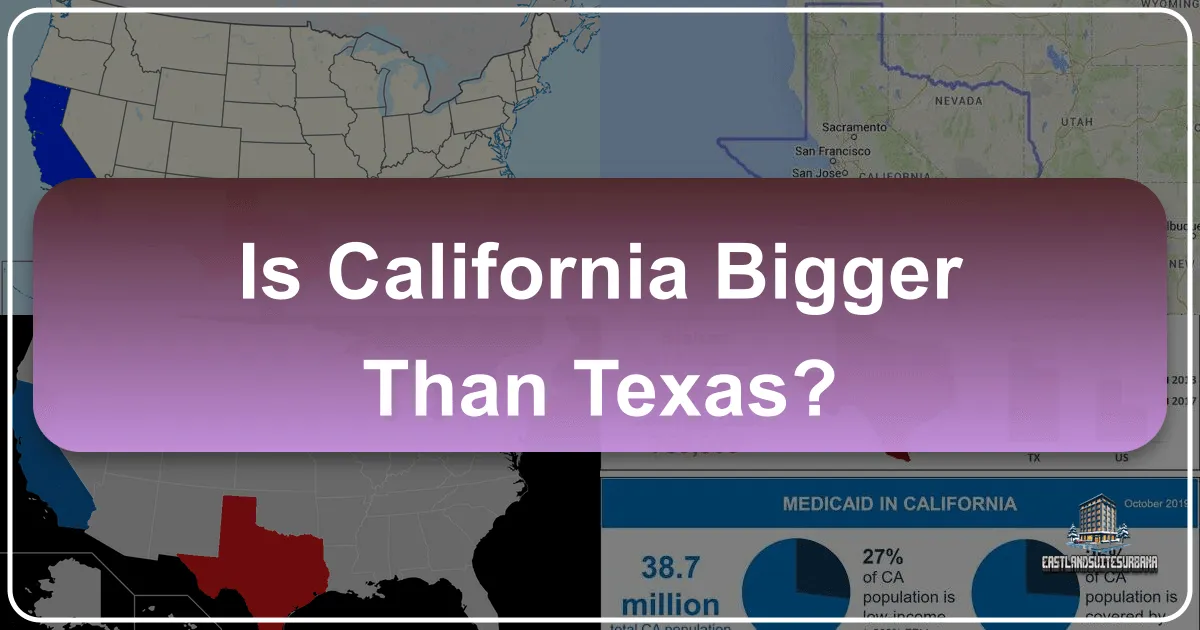 Is California Bigger Than Texas?