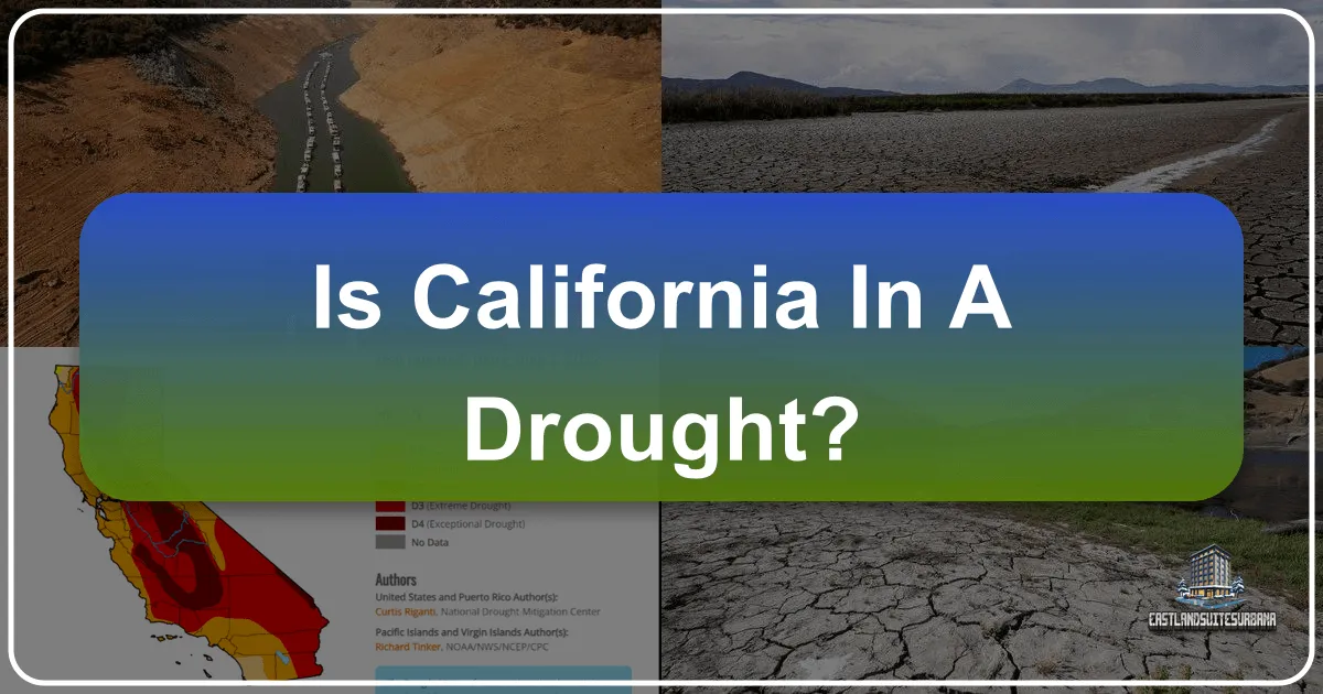 Is California in a Drought? Navigating the Golden State's Water Landscape for Travelers