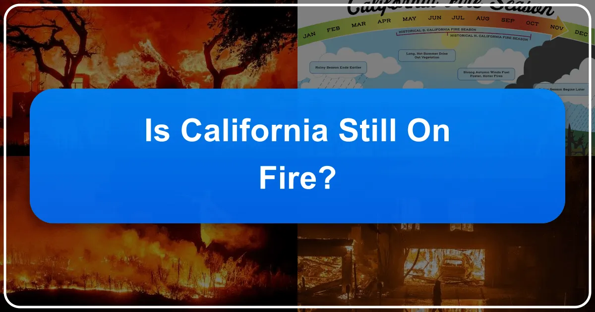 Is California Still On Fire? Addressing Wildfire Concerns for Travelers