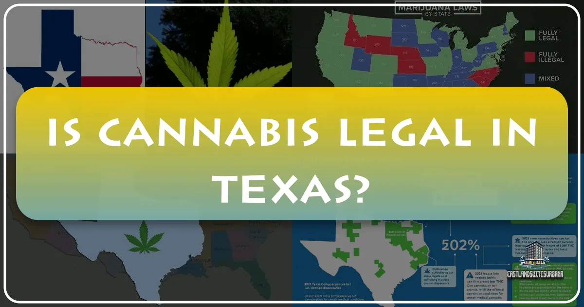 Is Cannabis Legal in Texas? A Traveler's Guide to Navigating Lone Star State Laws