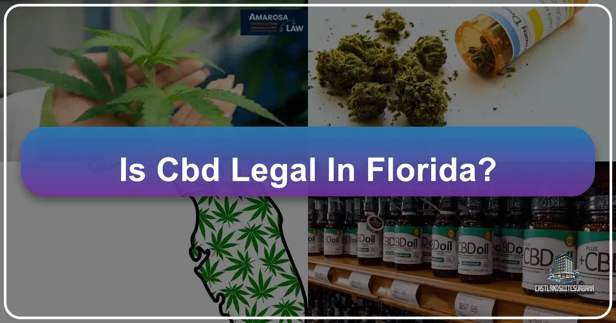 Is CBD Legal in Florida? Navigating Wellness Travel in the Sunshine State