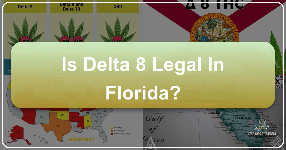 Is Delta 8 Legal in Florida? A Comprehensive Guide for Travelers and Locals