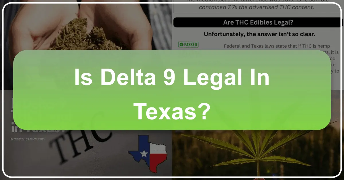 Is Delta 9 Legal in Texas? A Traveler's Guide to Cannabis Laws and Lifestyle in the Lone Star State