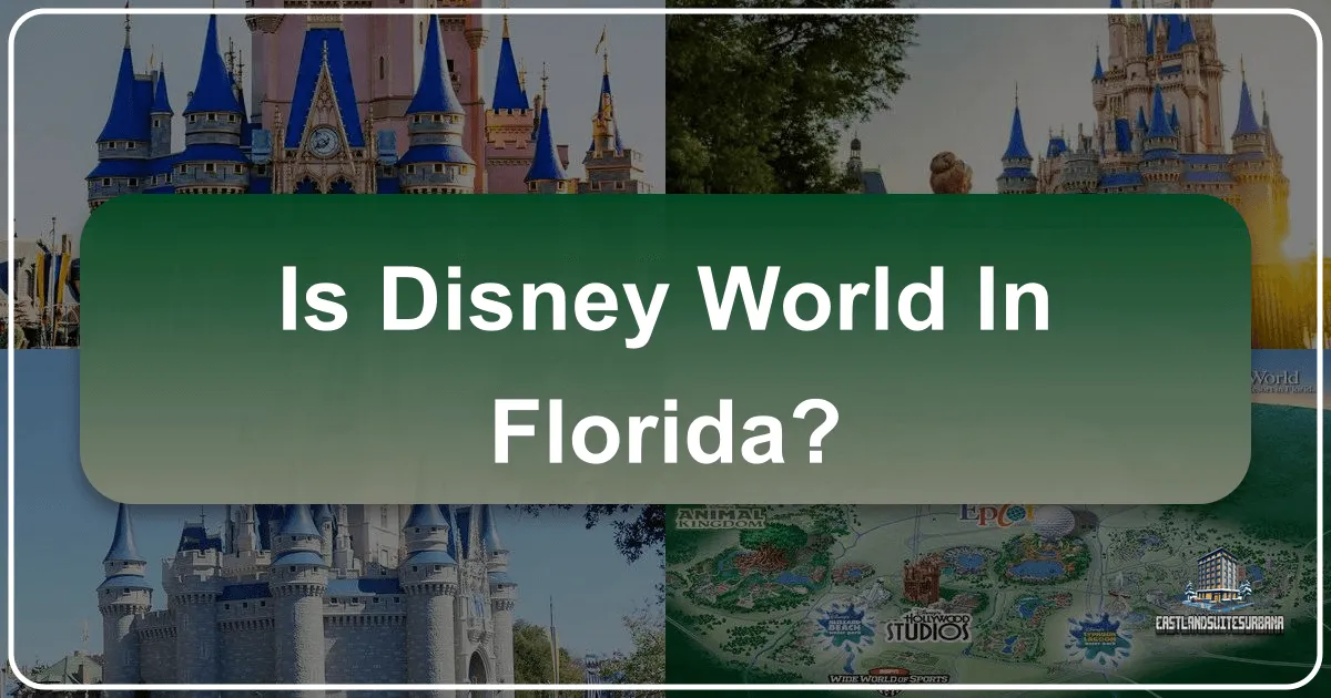 Is Disney World in Florida?