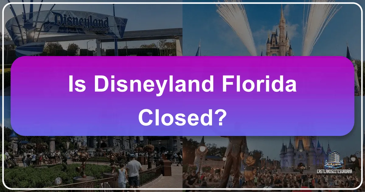 Is Disneyland Florida Closed?