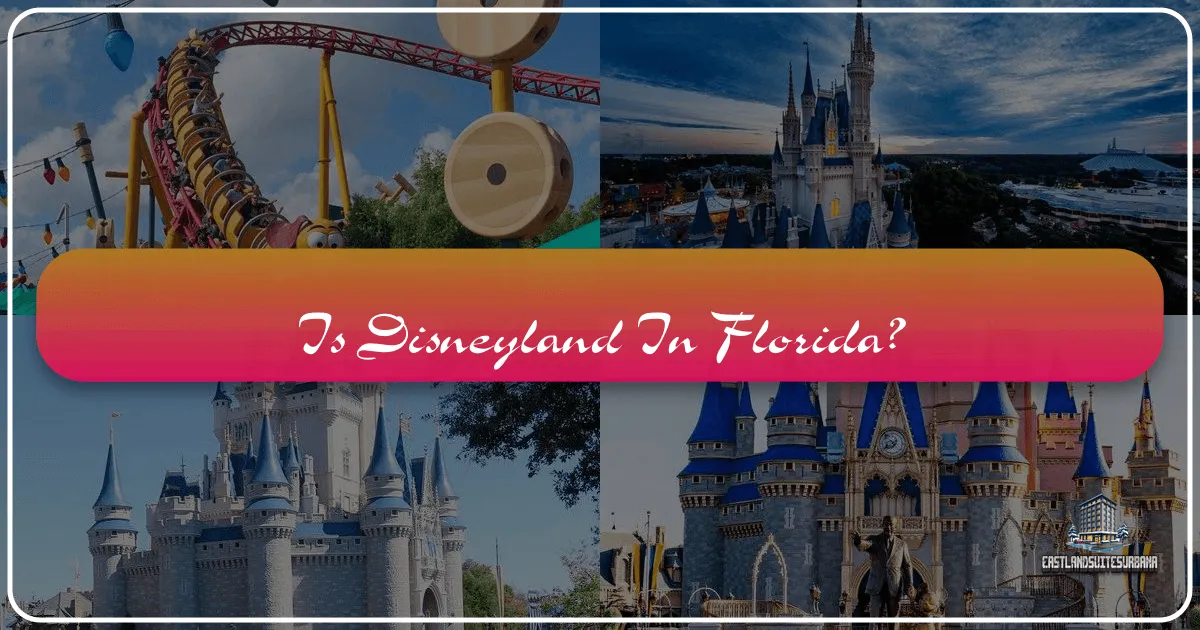Is Disneyland In Florida?